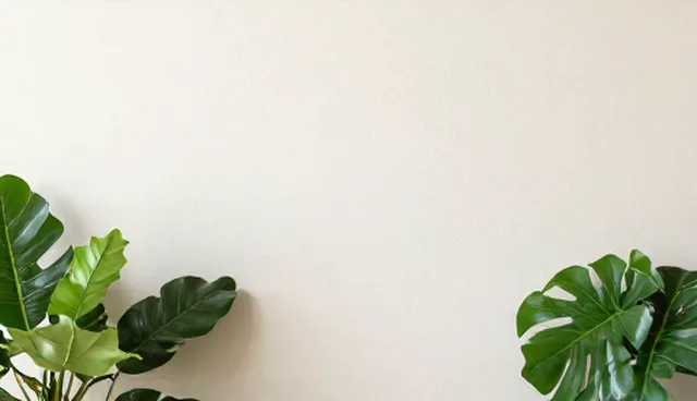 以客户为中心：定制化与标准化的取舍分析